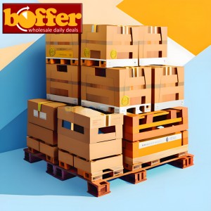 Ultimate Pallet of Crap